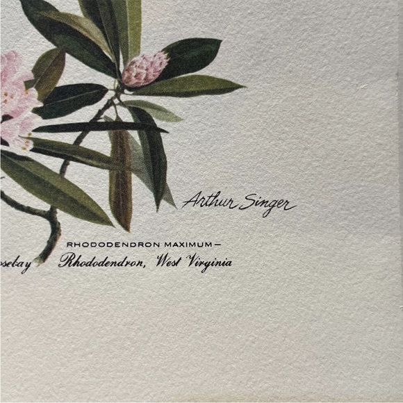 Vintage Arthur Singer Bird Prints Set Of 8 - Picture 13 of 13